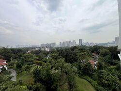 Holland Tower (D10), Apartment #547079381